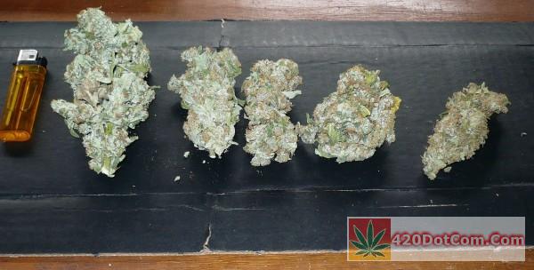 Sugar Punch Bud Shots