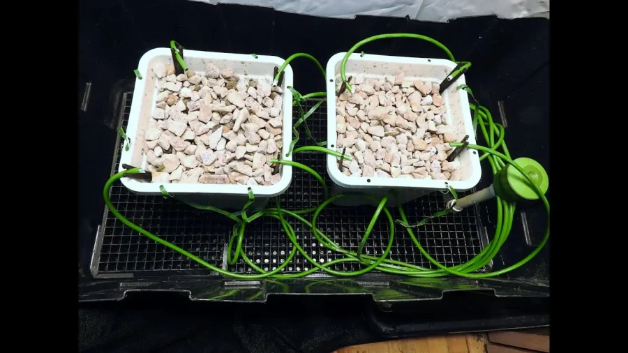 Hydroponic Dripper System Build An Easy DIY Drip System