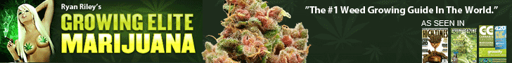 grow weed RyanRiley_banner